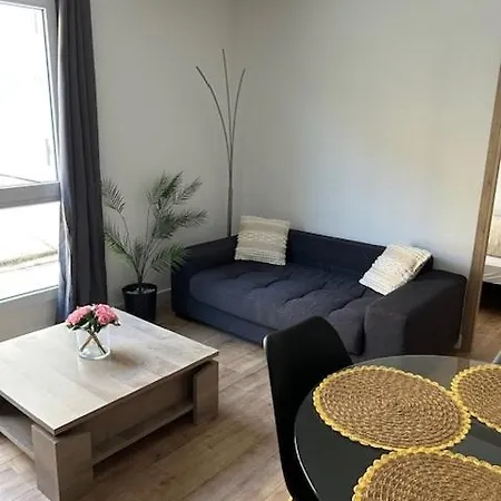 Apartament Entier 100m De La Gare Face Au Theatre Moliere *
